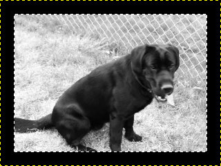 Black frame around the edge with Casey showing through in the middle